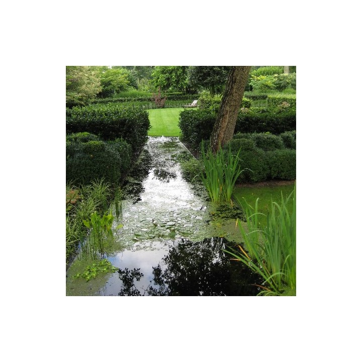 Rouleau membrane imperméable Pond Easy Firestone EPDM ep. 0,8 mm
