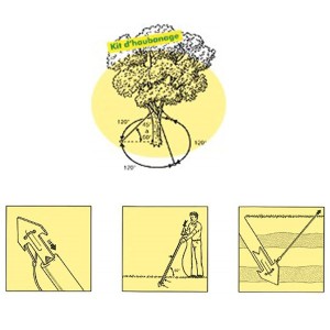 Kit d'haubanage 3 points pour arbre