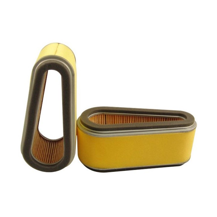 Filtre à air Hifi Filter SA 12305