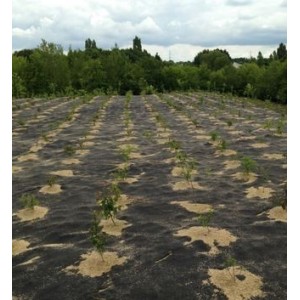 Feutre de paillage biodégradable 48 mois - 190gr/m2 - PLA + chanvre - Long 100 m