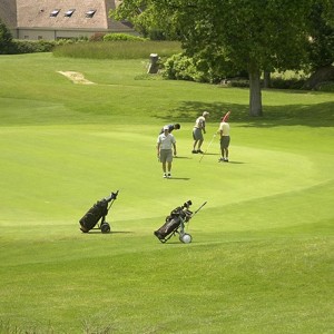 Gazon Professionnel Signature 100kg - 2000m² pour green de golf