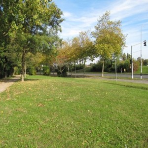 Enherbement Voirie 20kg - 800m² - semences professionnelles