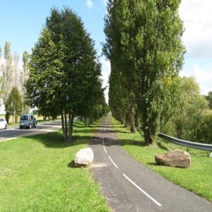 Enherbement Accotements 20kg - 800m² - semences professionnelles