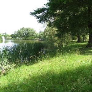 Enherbement Berges 20kg - 800m² - semences professionnelles