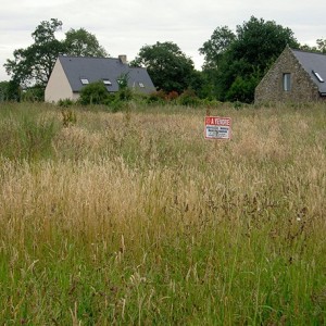 Enherbement Zones Délaissés 20kg - 800m² - semences professionnelles