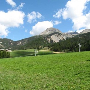 Enherbement Pistes Alpages 20kg - 1000m² - semences professionnelles