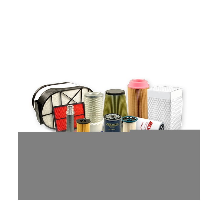 Filtre à essence Hifi Filter SG 1020
