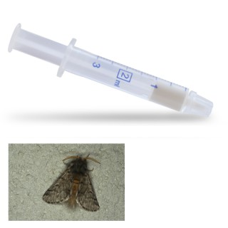Diffuseur seringue Pine T Pro Caps contre la processionnaire du pin