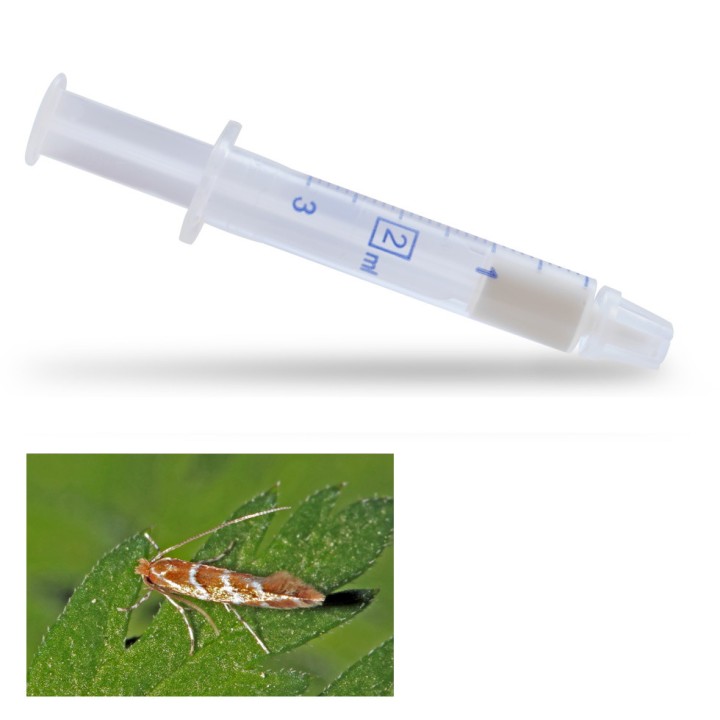 Diffuseur seringue Cameraria Pro Caps contre la mineuse du marronnier