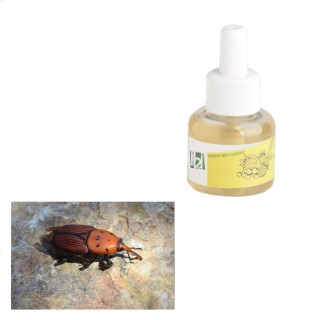 Diffuseur bouteille Ryncho Pro Classic contre le charançon du palmier
