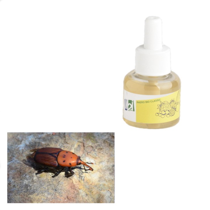 Diffuseur bouteille Ryncho Pro Classic contre le charançon du palmier