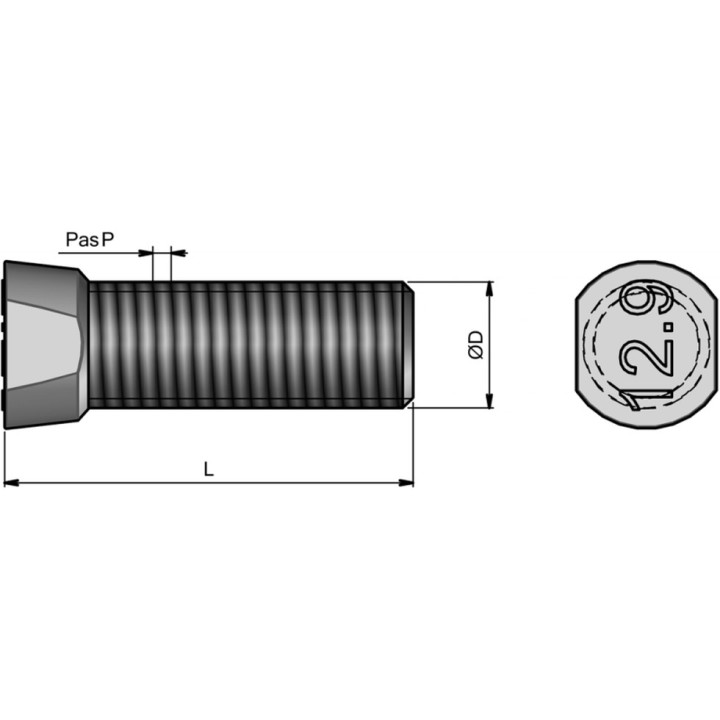 25 boulons (vis + écrou) Ø 12 mm, longueur 45 mm, tête conique 2 méplats