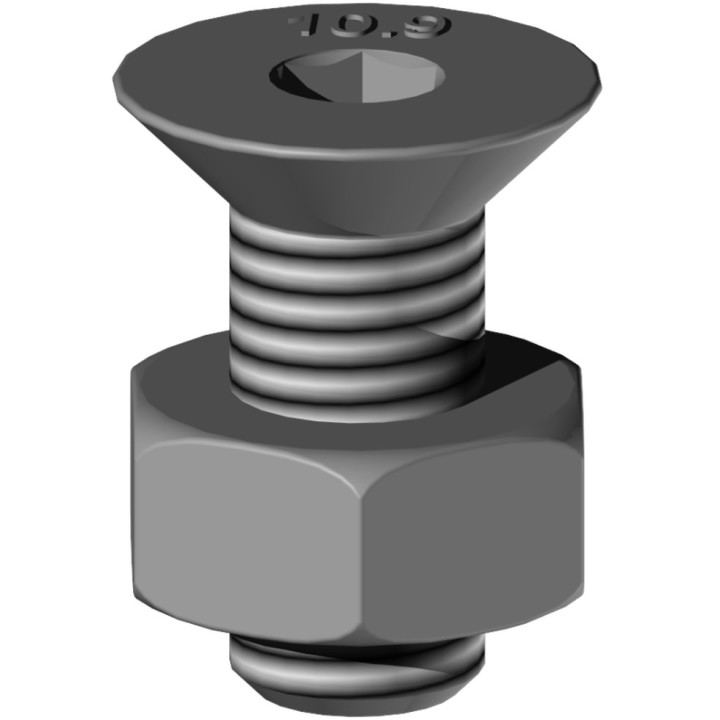 25 boulons (vis + écrou) Ø 10 mm, longueur 25 mm, tête fraisée - Pas 150