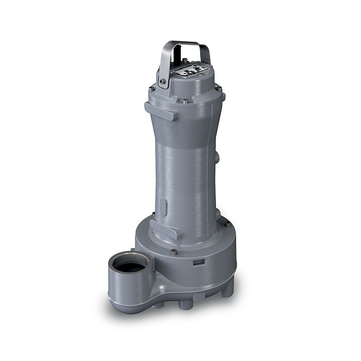 Pompe DGG 250-2-65VT Tri Calpeda, à roue vortex