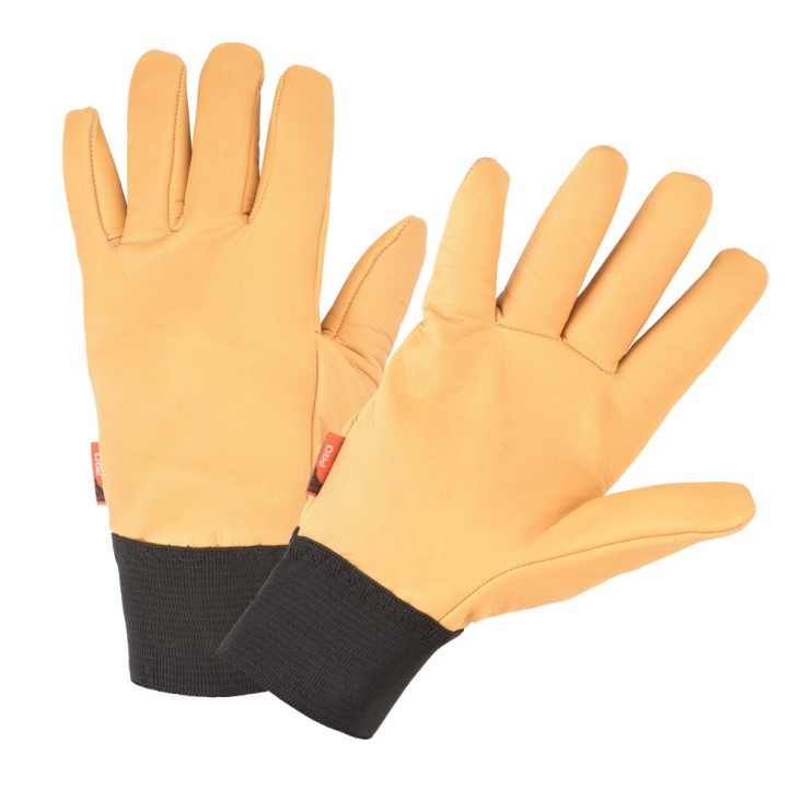 Gants de protection Vigne/I Rostaing