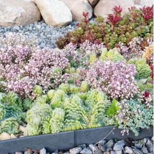 Bordure de jardin équerre plastique Toltex