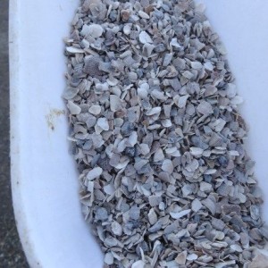 Coquilles d'huitres broyées pour pondeuse Le Père François
