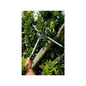 Cisaille à haies professionnelle Bahco P51H-SL, manches longs