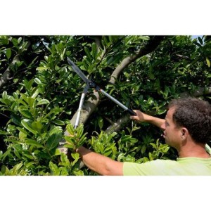 Cisaille à haies professionnelle Bahco P51H-SL, manches longs