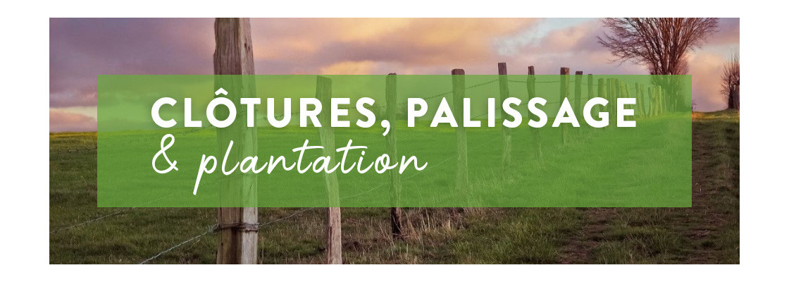 Clôtures, palissage & plantation