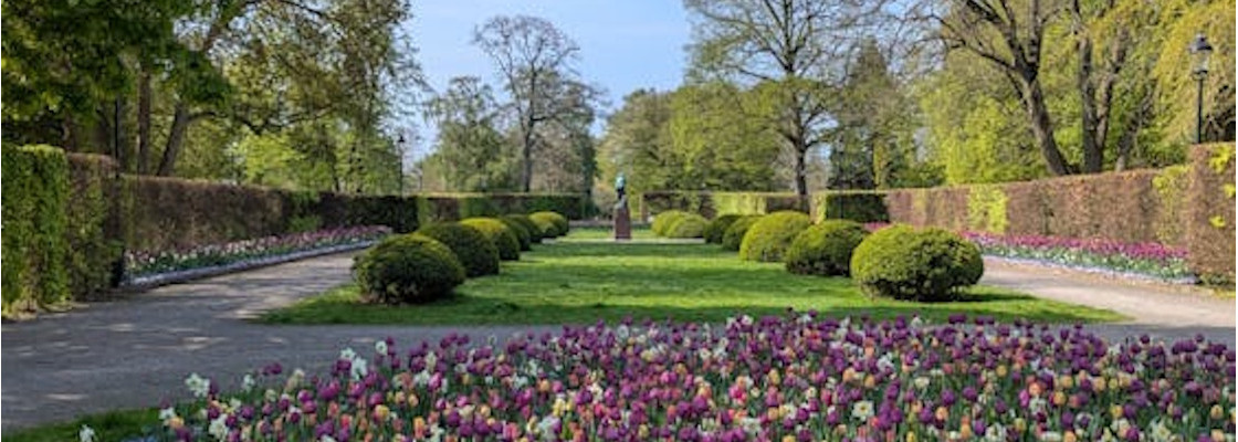 Machines pour l’entretien des sols & jardins