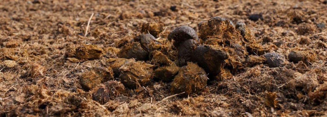 Amendements organiques, argile & fumier