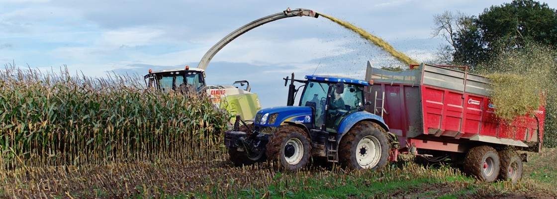 Ensilage & Stockage de fourrage
