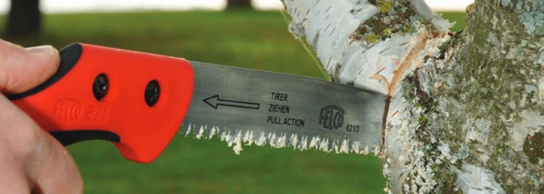 Scies d'élagage arboricole