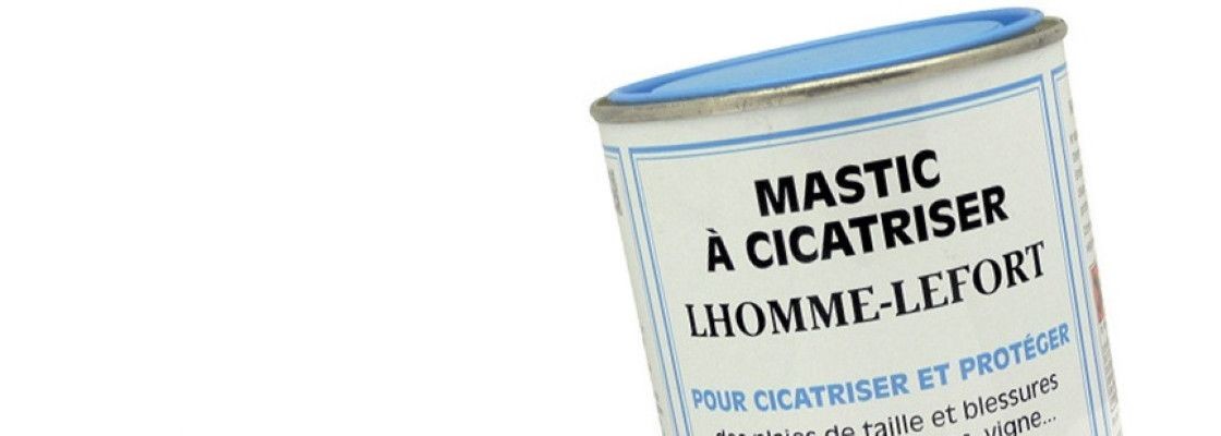 Mastics, cires & cicatrisants