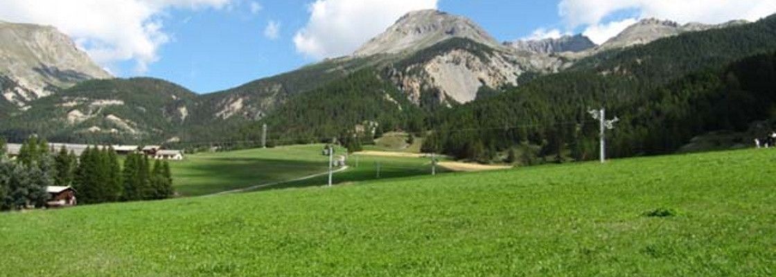 Enherbement montagne