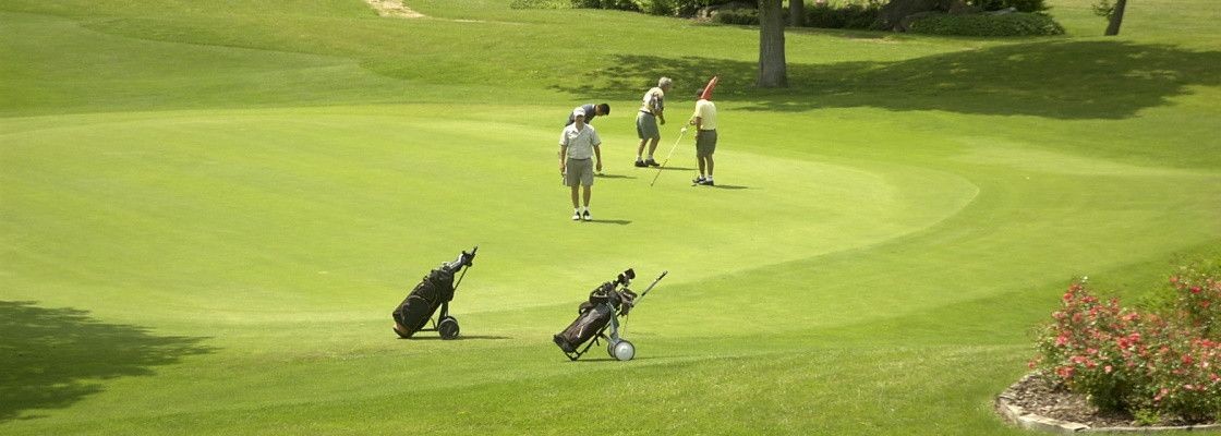 Semences gazon golf & sports