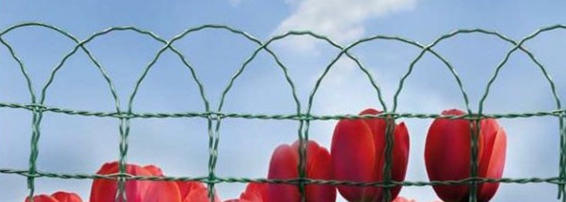 Bordures de jardin
