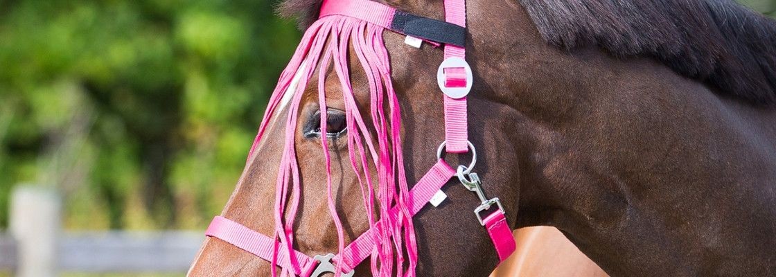 Bonnets, frontals & franges cheval