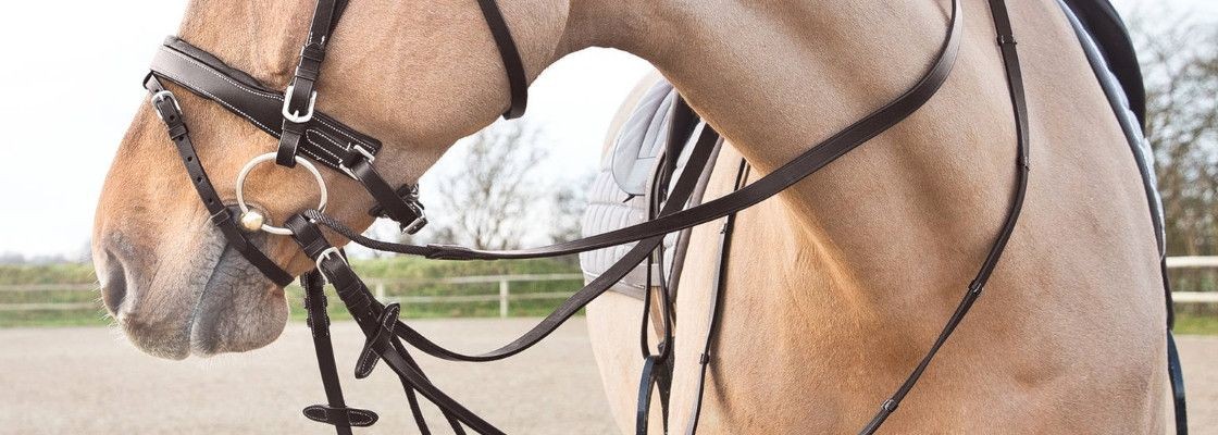 Mors, hackamores & alliances équitation