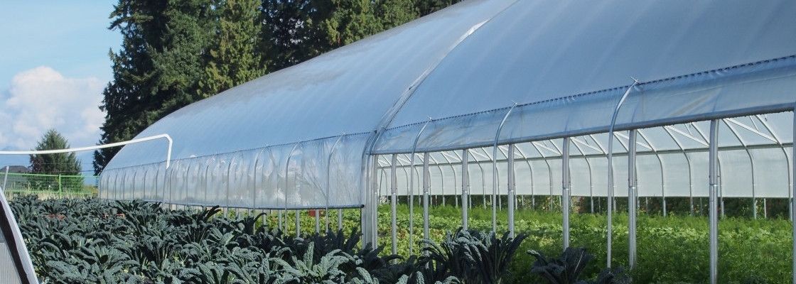 Serres tunnels agricoles