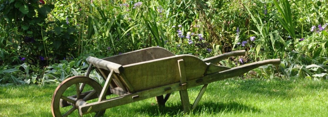 Engrais & traitement jardin