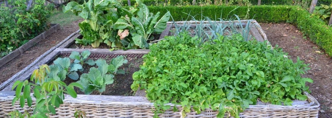 Engrais jardin