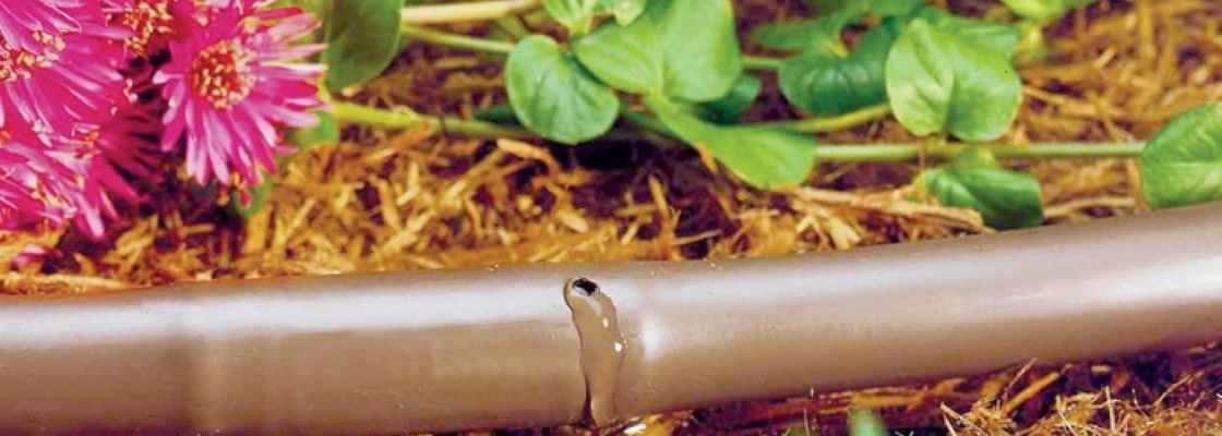 Système goutte à goutte et micro-irrigation