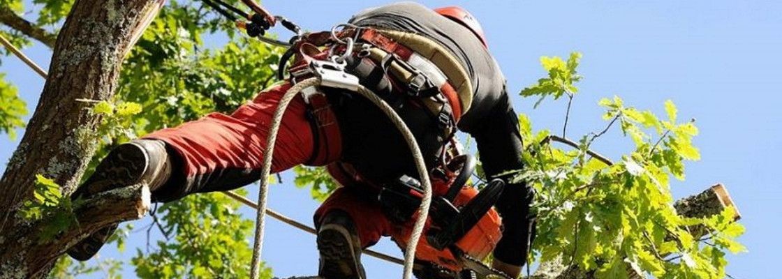 Accessoires de sécurité et d'ascension