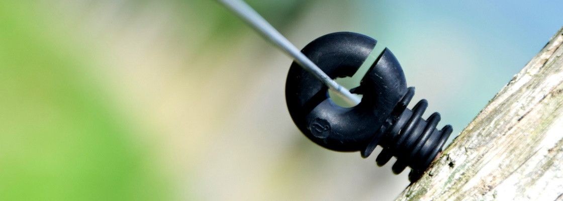 Isolateurs piquets bois