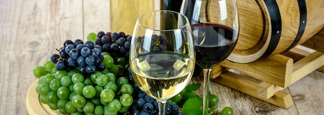 Livres : vigne, vin et viticulture