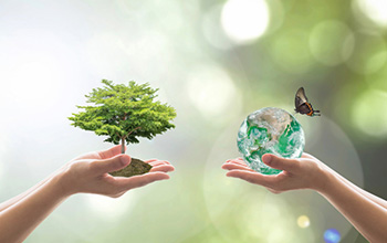 Environnement
