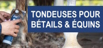 TONDEUSES BÉTAILS & CHEVAUX