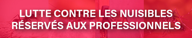 Lutte nuisibles professionnels