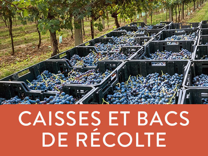 Caisses de récoltes