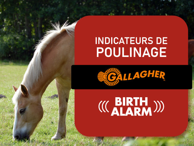 Birth Alarm