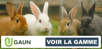MATÉRIEL ÉLEVAGE LAPINS
