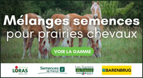 Mélanges semences prairies chevaux