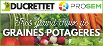 GRAINES POTAGÈRES