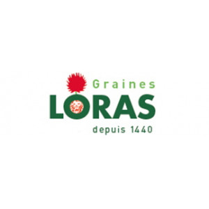 LORAS